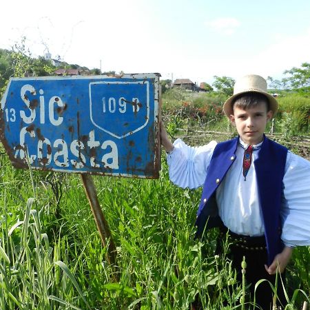 Csipkeszeg Bed & Breakfast Sic / Szek Romania Exteriör bild