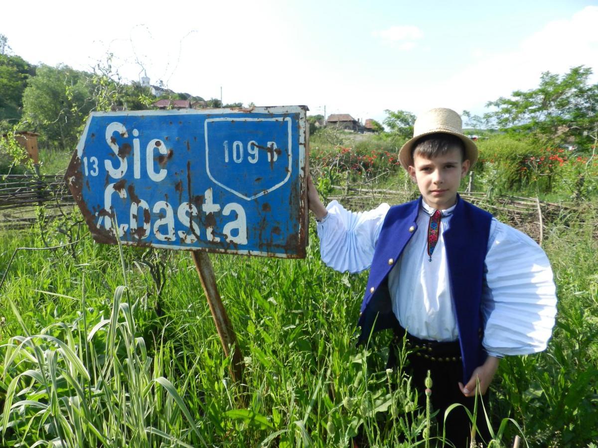 Csipkeszeg Bed & Breakfast Sic / Szek Romania Exteriör bild