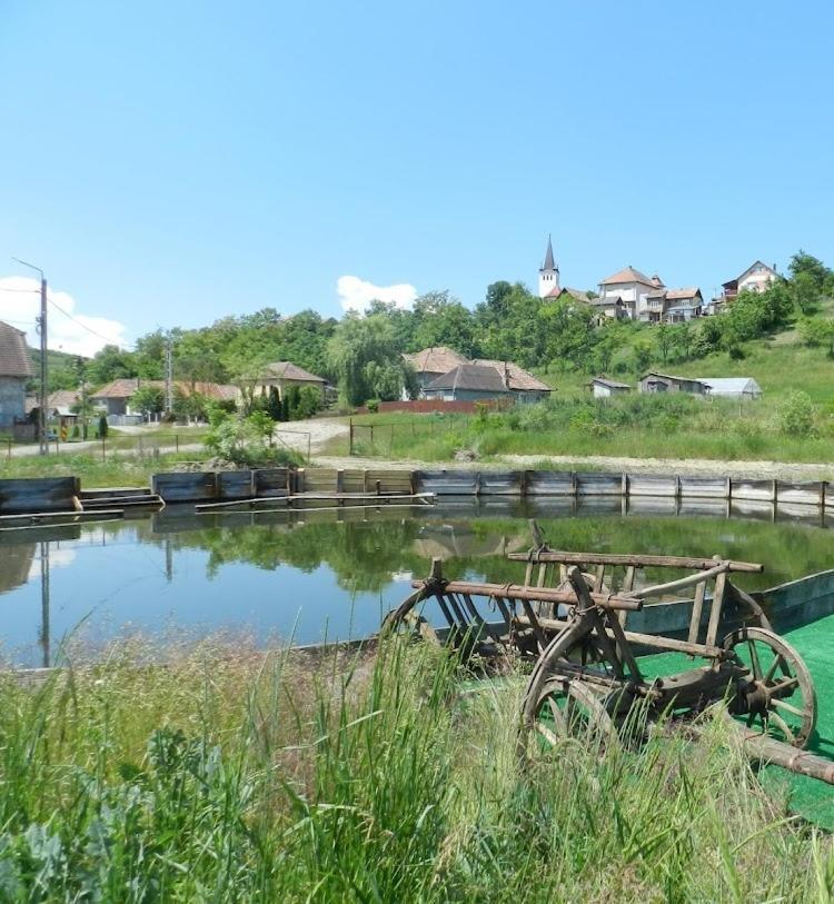 Csipkeszeg Bed & Breakfast Sic / Szek Romania Exteriör bild