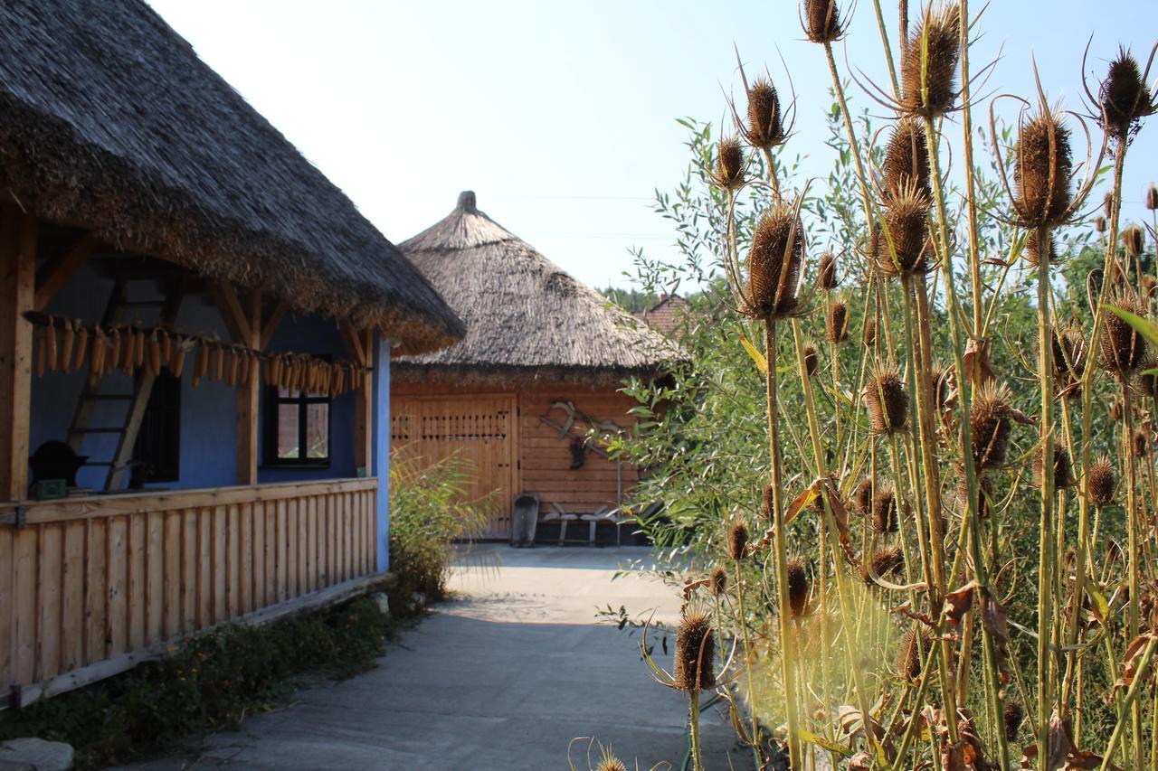Csipkeszeg Bed & Breakfast Sic / Szek Romania Exteriör bild
