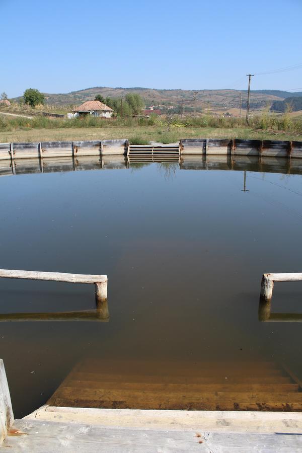 Csipkeszeg Bed & Breakfast Sic / Szek Romania Exteriör bild