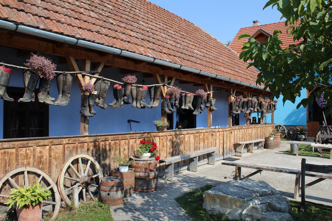 Csipkeszeg Bed & Breakfast Sic / Szek Romania Exteriör bild