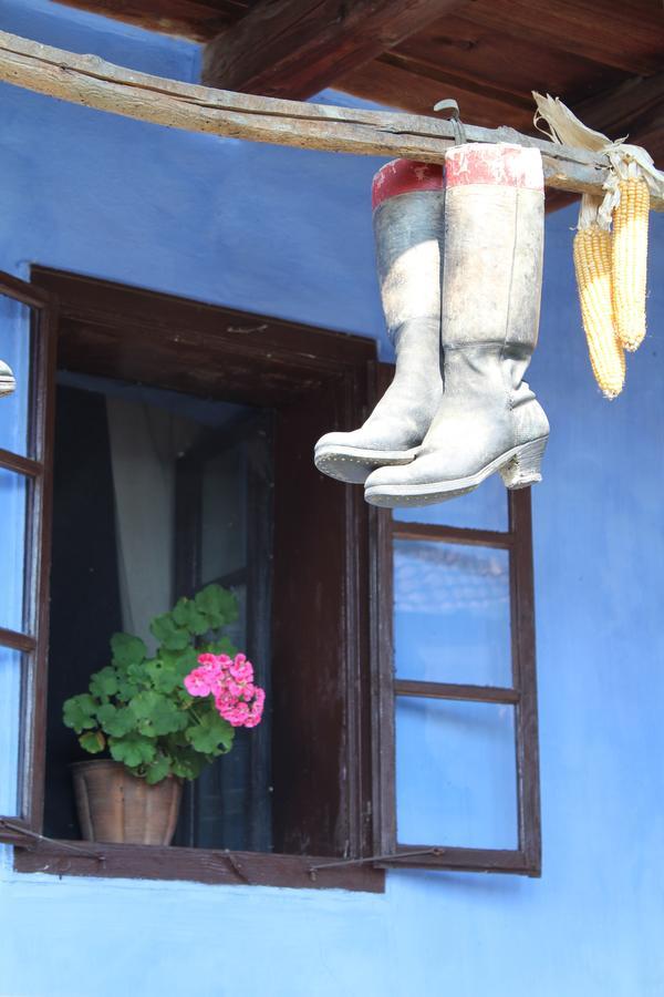 Csipkeszeg Bed & Breakfast Sic / Szek Romania Exteriör bild