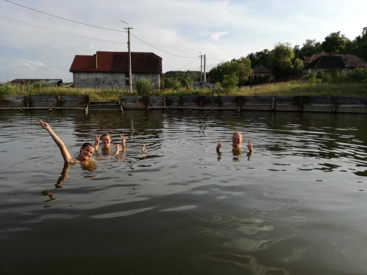 Csipkeszeg Bed & Breakfast Sic / Szek Romania Exteriör bild