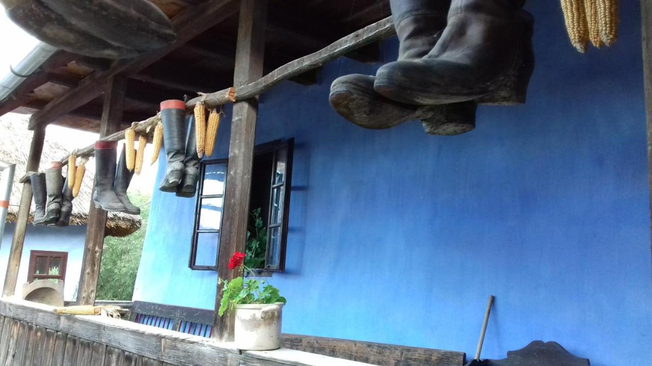 Csipkeszeg Bed & Breakfast Sic / Szek Romania Exteriör bild